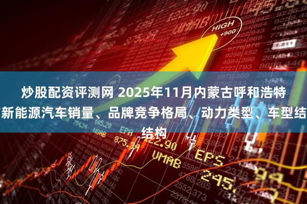 炒股配资评测网 2025年11月内蒙古呼和浩特市新能源汽车销量、品牌竞争格局、动力类型、车型结构